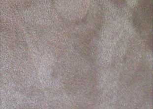 Carpet & Spot Dyeing Services