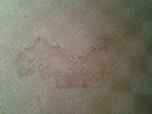 Carpet Cleaning