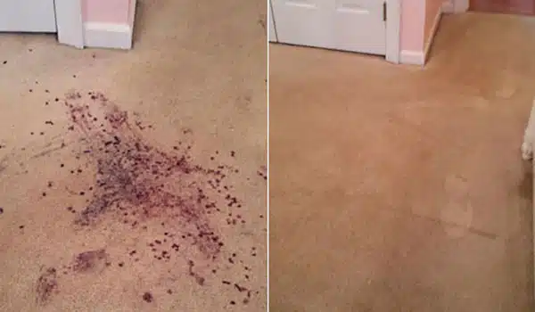 Carpet & Spot Dyeing