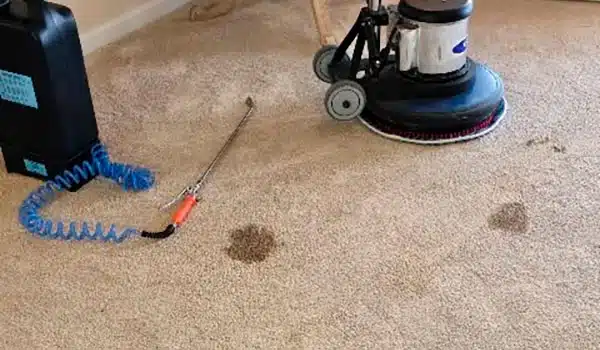 Odor Control & Pet Urine Removal