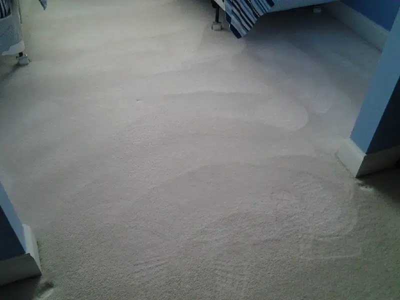 Carpet Cleaning